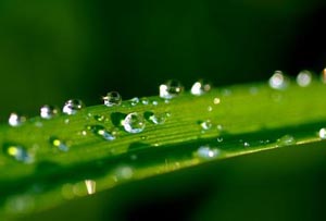 露水冷凝